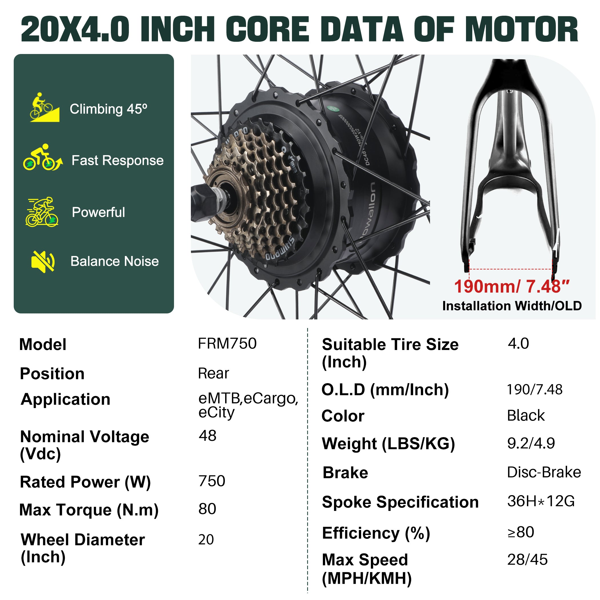 48V 750W Fat Tire Electric Bike Rear Hub Motor Kit - 20 × 4.0", Hub Spacing 190 mm