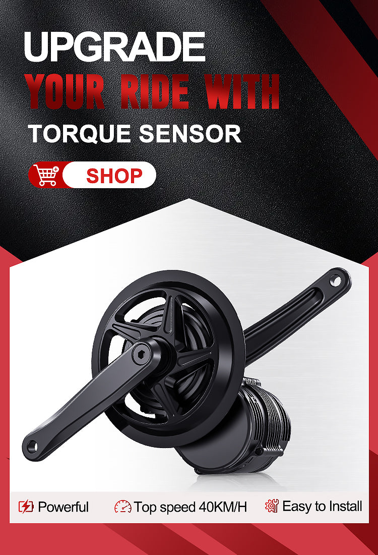 750W torque sensor mid drive Kit tongsheng