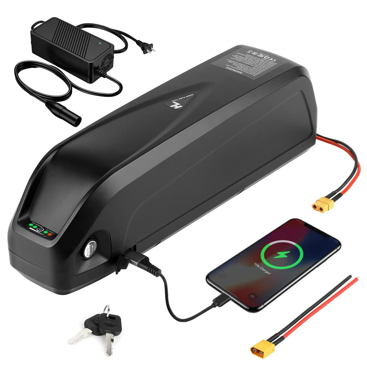 Hailong Style E-bike Battery 36V 15.6Ah, BMS 20A, Charger Included